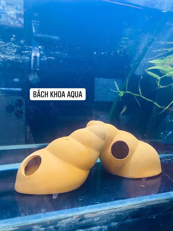 Vỏ ốc gốm trang trí bể cá